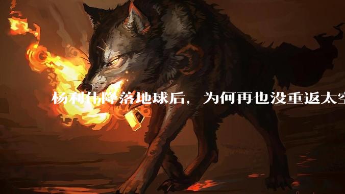 杨利伟降落地球后，为何再也没重返太空？