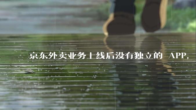 京东外卖业务上线后没有独立的 APP，导致用户体验和下载量受到影响，这背后反映了哪些战略问题？