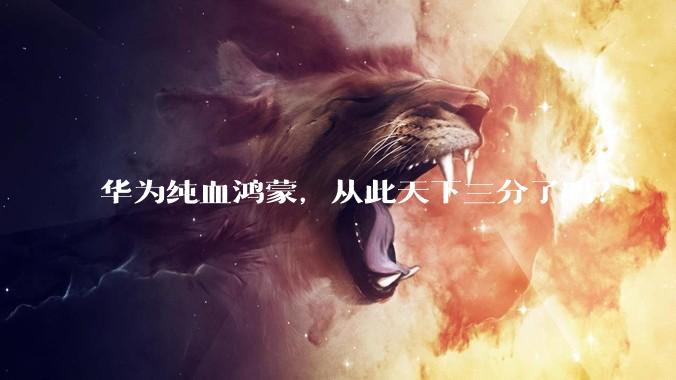华为纯血鸿蒙，从此天下三分了吗？